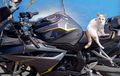Honda CBR250RR Digondol Maling, Supra Fit Dan BeAT Dibiarin, Beraksi Pagi Buta