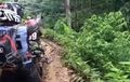 Video Kocak! Rombongan Trabasan Kocar-kacir, Lihat Harimau Ternyata Kucing Hutan