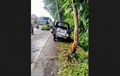 Suzuki Carry Terpotong Separuh, Hindari Motor Nyalip Dari Depan, Terjang Pohon