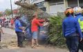 Suzuki Carry Pikap Dan Angkot Ringsek, Atap Bonyok Digebrak Pohon Tumbang, Sopir Terluka