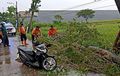 Honda BeAT Nempel Aspal, Sokbreker Patah Bodi Pecah, Ditebas Pohon Ambruk