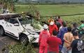 Toyota Fortuner Isi 8 Orang Ringsek, Bodi Atas Melengkung, Batang Pohon Menimpa Atap