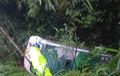 Bus Masuk Jurang 20 Meter, Ajaib! Seperti Ini Kondisi Tiga Penumpang dan Dua Awak Busnya