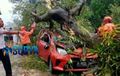 Toyota Calya Remuk Redam, Atap Ambles Tak Berbentuk, Kejatuhan Pohon di Bangkalan