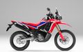 Honda CRF250 Rally 2021 Hadir, Performa dan Bobot Dikoreksi, Harga Segini