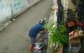 Honda Scoopy Diutak-atik, Aksi Maling di Siang Bolong Terekam, Digondol Cepat