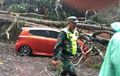 Toyota Agya Ceper Tanpa Diminta, Bodi Ambles Tahan Batang Pohon Tumbang di Puncak Cianjur