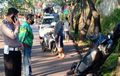 Honda Vario Berdiri Sambil Sandaran Pohon, Oleng di Jalan Menurun, Renggut Nyawa Mahasiswa