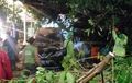 Pohon Besar Tumbang Dekat Gedung Cyber, Mobil dan Pejalan Kaki Ketiban Celaka, Sampai Dibawa ke RS