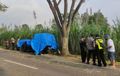 Tragis, Mitsubishi L300 Pikap Hantam Pohon, Penumpang di Bak Terlempar, 7 Orang Meninggal