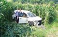 Honda Mobilio Sabet Tiang Listrik, Loncat ke Ladang Jagung, Pengemudi Lanjut Kerja