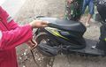 Honda BeAT Dibawa ke Swalayan, Parkir Dekat Pohon, Pulang Ditumpangi Ular Bandotan Macan