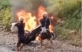 Warga Baduy Sengaja Bakar Empat Motor, Video Viral, Disebut Aturan Adat