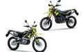 Sejarah Kawasaki KLX 150 dan D-Tracker 150 di Indonesia,  Pelopor Motor Trail dan Supermoto dari 'Geng Ijo'