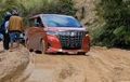 Toyota Alphard Salah Pergaulan, Bukan Melintas di Jalan Aspal, Ini Malah Diajak Off-road