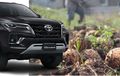 Kenalkan, Namanya Porang Tanaman Yang Setahun Untungnya Bisa Buat Beli Toyota Fortuner