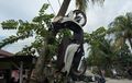 Bikin Resah Warga, Honda Scoopy Digantung di Pohon Kelapa, Penyebabnya Memang Bikin Geram