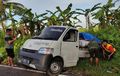 Gugup Ditatap Truk Dari Arah Lawan, Gran Max Melintir, Muatan Semangka Gelinding