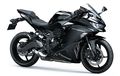 Ini Sejumlah Alasan Mengapa Kawasaki Ninja ZX-25R Dipilih Jadi MOTY GridOto Award 2021
