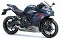 Warna Baru Kawasaki Ninja ZX-25R SE 2022 Dikenalkan, Tampilan Lebih Gagah