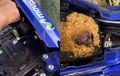 Tiga Hari Enggak Digunakan, Box Filter Yamaha Y15ZR Jadi Sarang Tikus Hingga Beranak
