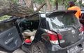 Toyota Agya Fender To Lips, Atap Amblas Digebrak Pohon Tumbang