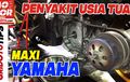 Deteksi Penyakit Maxi Yamaha Saat Masuk Umur 5 Tahun, Cek Video Ini