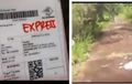 Kurir Lari Ketakutan, Alamat Pemesan Rumah Kosong Penuh Belukar, Isi Paket Jadi Sorotan