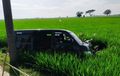 Melaju Kencang Papasan dengan Truk, Gran Max Banting Setir Nyemplung Sawah, Begini Kondisi Sopir