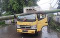 Angin Kencang Bawa Petaka, Pohon Palem Roboh Timpa Kepala Truk Fuso, Begini Kronologinya