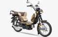 TVS Luncurkan Motor Bebek Pekerja, XL 100 Heavy Duty i-Touchstart