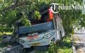 Kirain Pecah Ban, Bus PO EKA Hancur Lebur di Bawah Pohon, Ternyata Gara-gara Sopir
