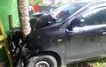Kaget, Avanza Pasrah Moncongnya Pesek Cium Pohon, Ulah Hewan Berbulu Nyebrang