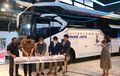 Bus Combi Family Series Milik Sinar Jaya Siap Jadi Armada Lebaran, Cewek Cowok Bukan Keluarga Bakal Dipisah