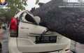 Brak! Daihatsu Xenia Tak Bergerak, Atap Gepeng Ketimpa Pohon di Jaksel