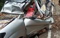 Denyut Nadi Penumpang Berhenti, Kabin dan Atap Daihatsu Xenia Ambrol Ditebas Pohon