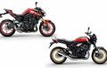 Kawasaki Z900 dan Z650 Edisi Spesial Meluncur, Warna Retro Rayakan 50 Tahun Keluarga Z Series