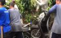 Viral Honda Scoopy Tergeletak di Semak-semak, Ternyata Sempat Hilang Dua Minggu