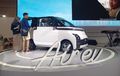 FB Live, Biar Nggak Penasaran Ini Bedanya Wuling Air ev Standard dan Long Range