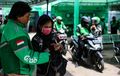 Anti Setor Tahunan, Pajak Kendaraan Ojek Online dan Mikrolet Resmi Gratis