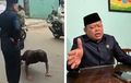 Video Waketu DPRD Depok Injak Pundak Sopir Truk, Dihukum Push Up dan Guling di Jalan