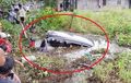 Celaka Berangkat Tanding, Toyota Avanza Atlet Porprov Kalsel Tenggelam di Rawa