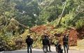 Lima Kendaraan Tertimbun Longsor di Jalur Puncak, Evakuasi Sedang Dilakukan