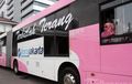 Khusus Wanita, Ada Tambahan 10 Bus Transjakarta Warna Pink, Catat Koridornya