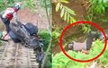 Video Viral Polisi Jatuh dari Jembatan saat Naik Motor Banjir Pujian, Tujuan Mulianya Jadi Sorotan
