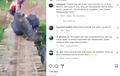 Motor Polisi Terperosok ke Bawah Jembatan Viral di Media Sosial, Ternyata Lagi Emban Tugas Mulia