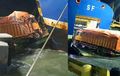 Ombak Pelabuhan Merak Ngamuk, Truk Tronton Terjun ke Laut Dari Atas Ramp Door Kapal Feri