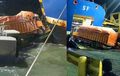 Truk Muatan Semen Tercebur ke Laut Dari Ramp Door Kapal, Begini Penjelasan Kejadiannya