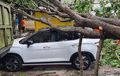 Hyundai Creta Prime Tertimpa Pohon Tumbang di Sunter, Atapnya Enggak Ringsek?