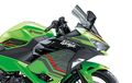 Kawasaki Ninja 250 2 Silinder Dapat Tiga Warna Baru, Mirip ZX-25RR